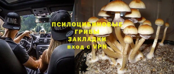 дмт Покров