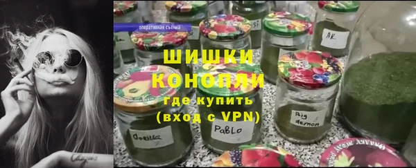 ГАЛЛЮЦИНОГЕННЫЕ ГРИБЫ Балахна